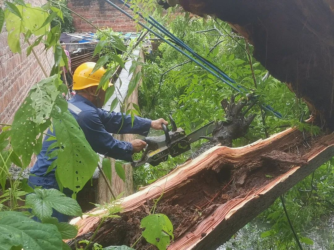 6月15日,南方电网广东清远阳山供电局岭背黄坌供电所接到客户紧急反映,犁头塘下村有线路被大风刮落地面,存在严重安全隐患。岭背黄坌供电所迅速启动应急响应,第一时间组织抢修人员携带工具赶赴现场。(麦俊轩 贝莹莹).jpg