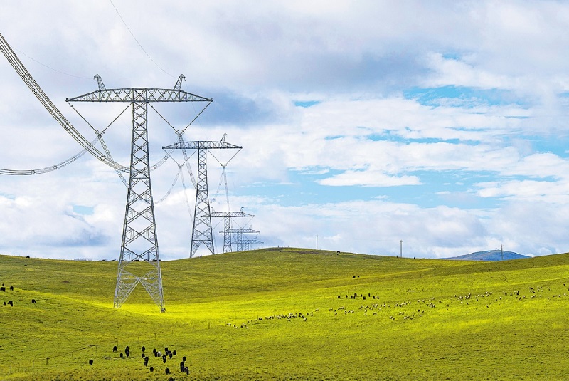 公司党组传达学习习近平总书记近期重要讲话精神