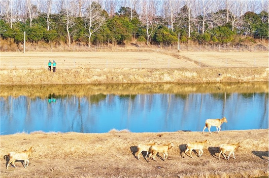 绿色发展促进生物多样性保护
