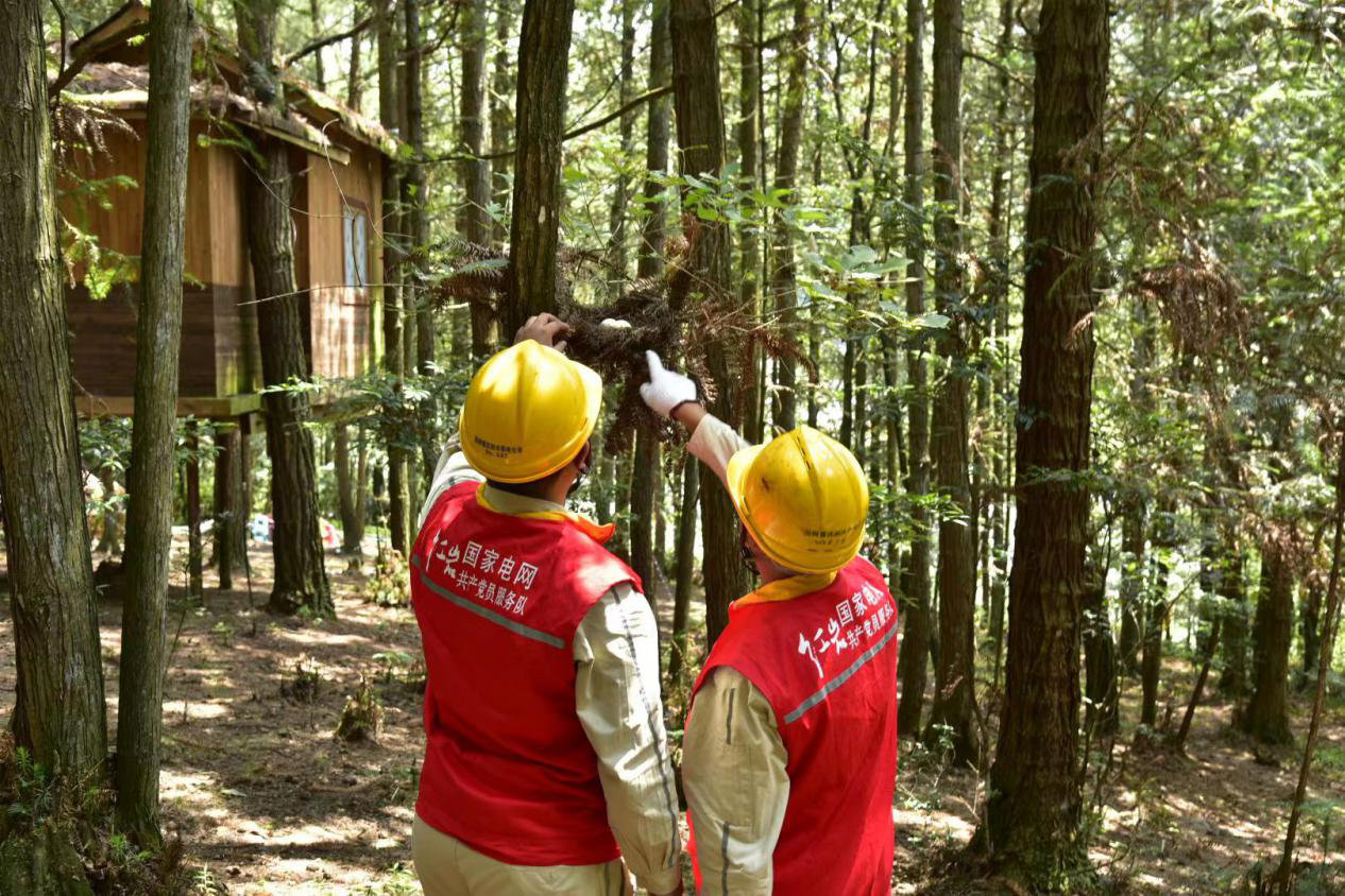 鸟巢1.png 鸟巢1.png