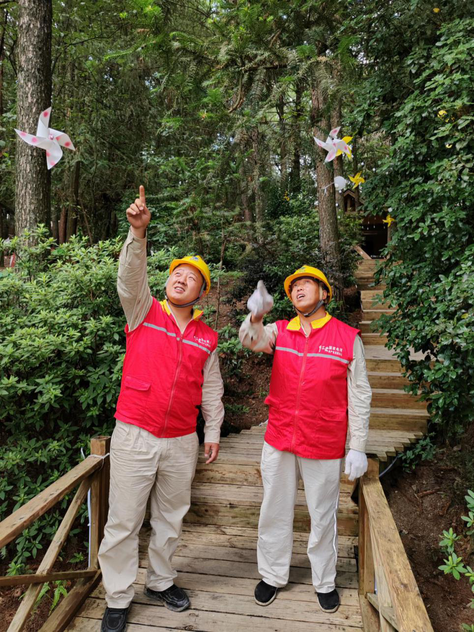 鸟巢2.png 鸟巢2.png