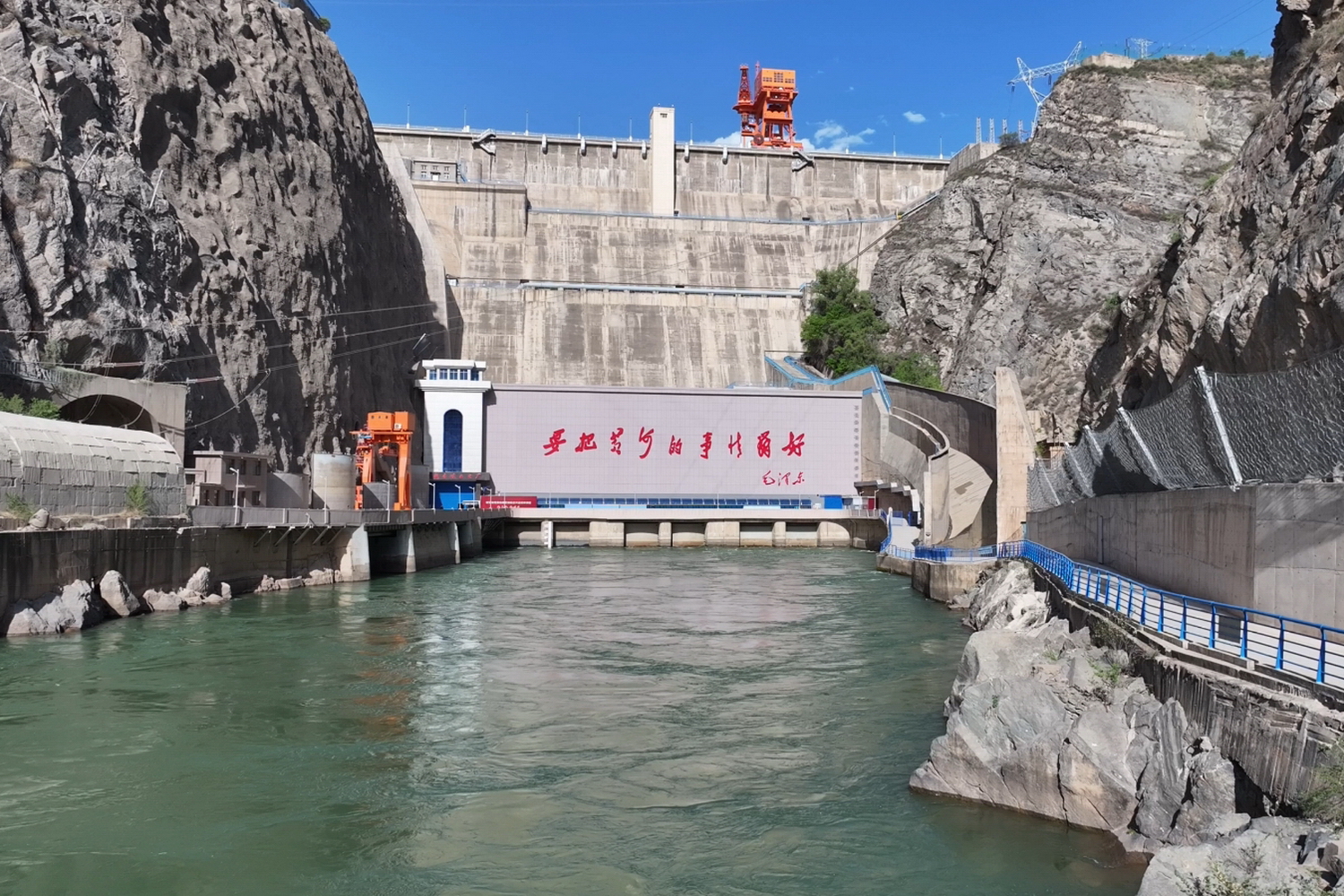 aijiao (1).jpg aijiao (1).jpg