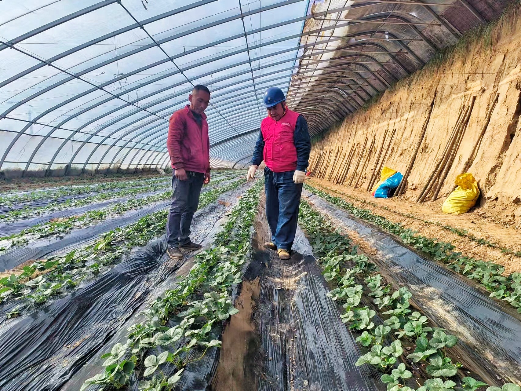 11月21日,国网兰州供电公司<span class= 11月21日,国网兰州供电公司<span class=