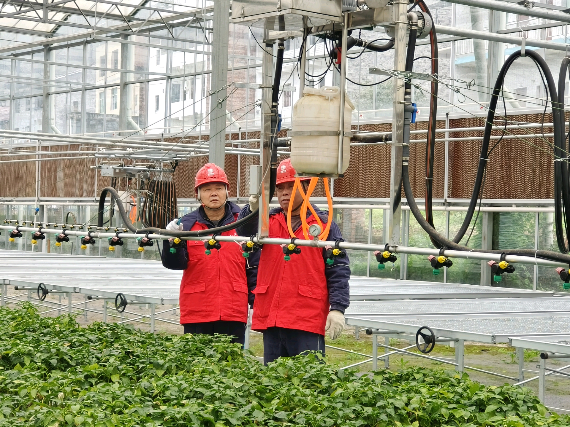 6d2b05b458e24484e185a207a3befe1.jpg 6d2b05b458e24484e185a207a3befe1.jpg