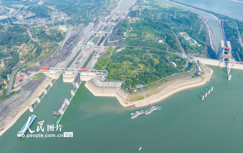 2024年8月25日，船舶有序通过三峡五级船闸。三峡升船机检修期间，船舶全部通过三峡五级船闸通行。