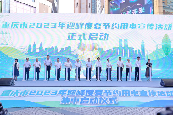 图为活动现场。国网重庆市电力公司供图