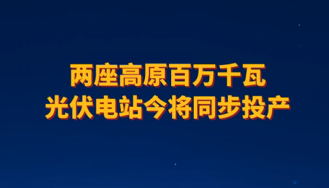 W020251231359591502981.png