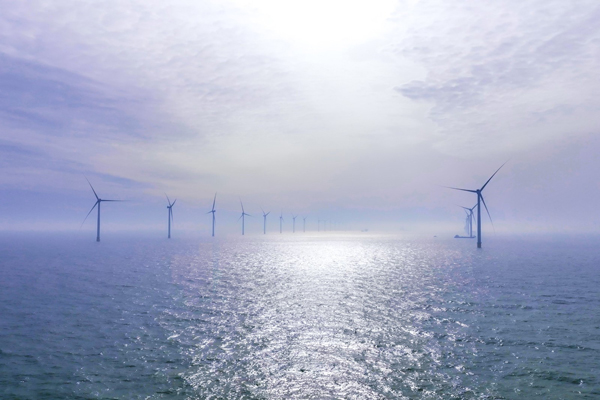渤中B2海上風電項目全容量并網發電。受訪者供圖