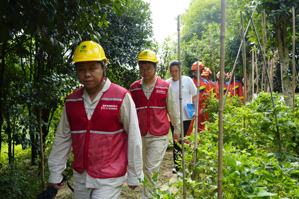 图片3.png 图片3.png