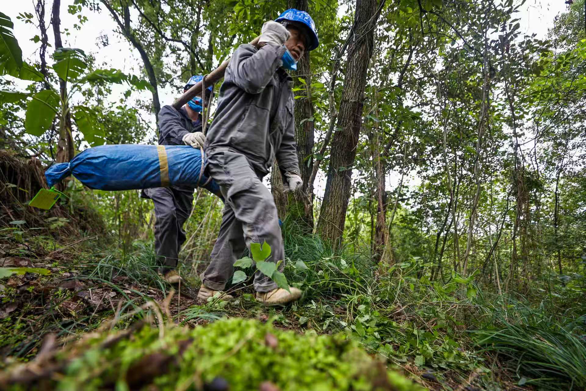 85c50ffc9f0529a8928e4eb18ae34765.jpg 85c50ffc9f0529a8928e4eb18ae34765.jpg