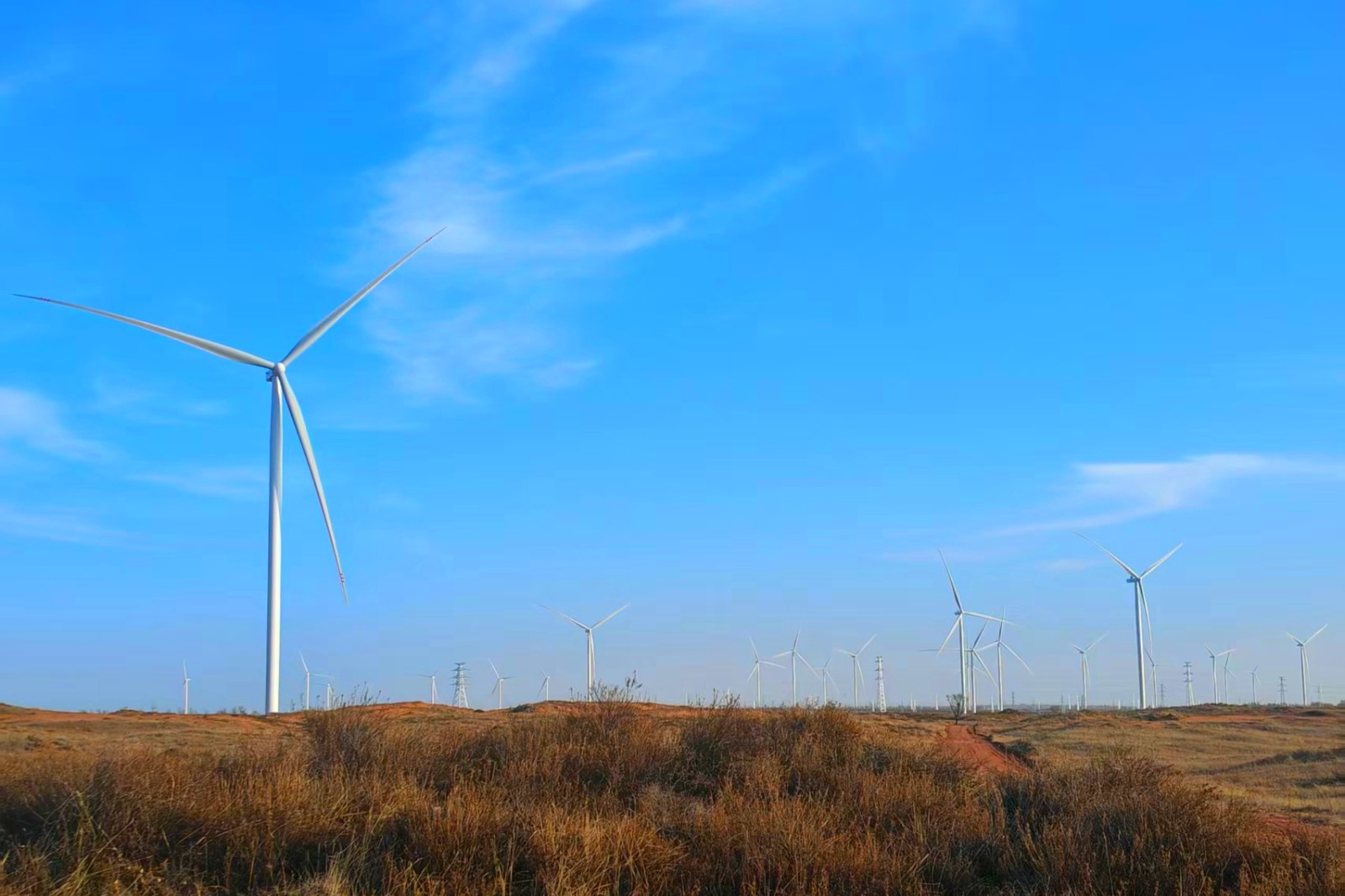 國能國電電力陜西新能源紅堿淖風電場：風起戈壁時