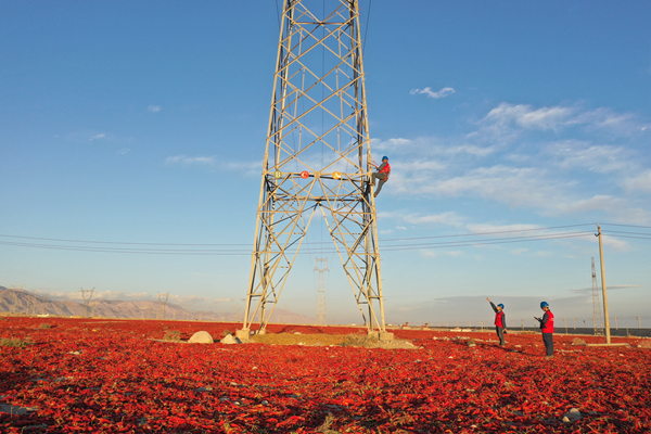 110千伏金蝶线27号杆进行登塔检查。（王骞 摄）_副本.jpg