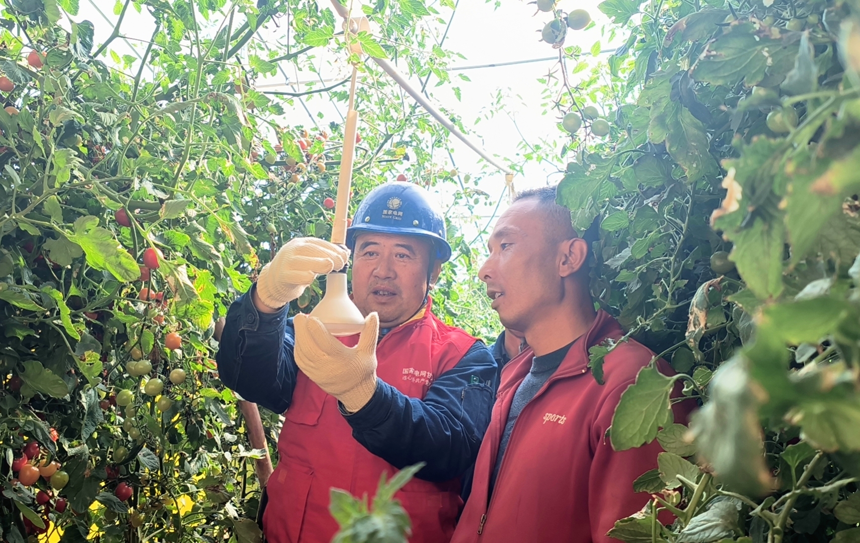 春节前夕，国网兰州供电公司<span class=