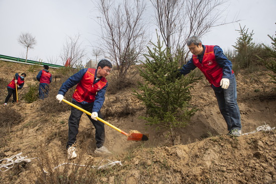 刘家峡水电厂：常态植树护绿 守护黄河安澜 (2).jpg