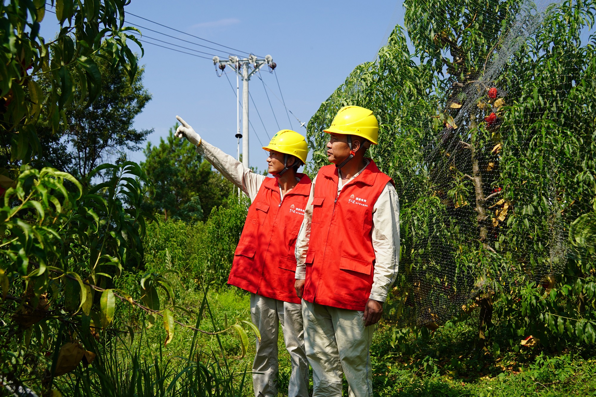 53d26feabaf552fb2642dab080233127.jpg 53d26feabaf552fb2642dab080233127.jpg